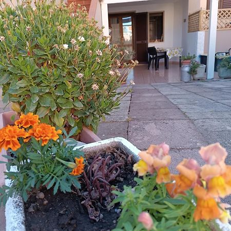 Da Francesca Villa Palmadula Екстериор снимка